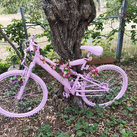 Apartament Koula 2 -mary *