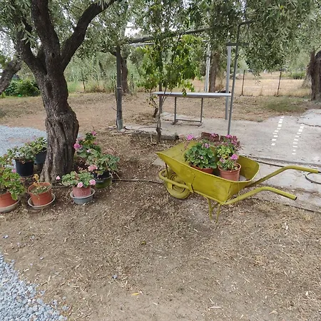 Koula 2 -mary Apartman *