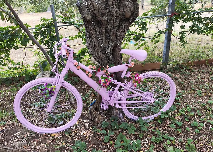 Apartamento Koula 2 -mary *